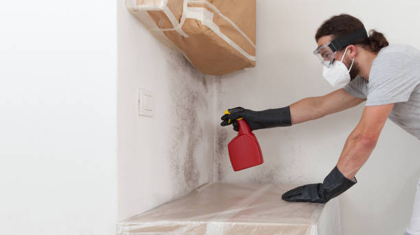 Professional Basement Mold Removal technician working in Hopkinton, MA