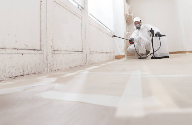 24/7 Emergency Basement Mold Removal experts in Hopkinton, MA